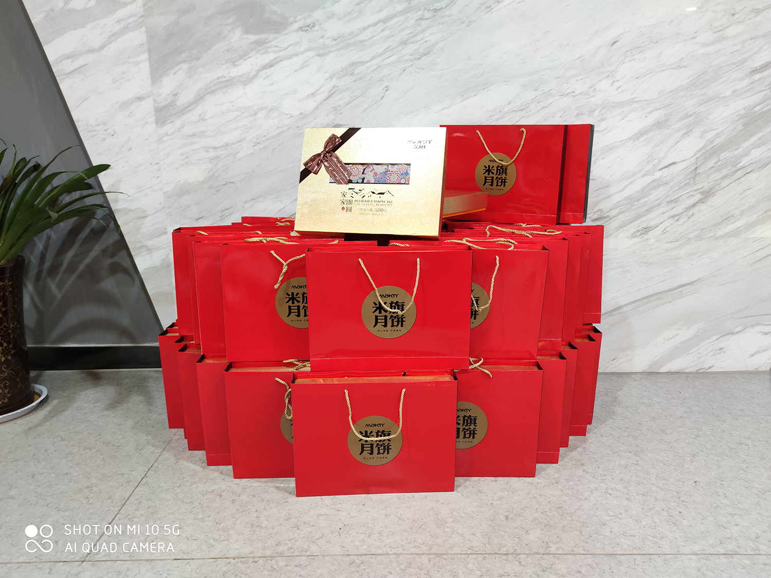 IMG_0511.jpg IMG_0511.jpg